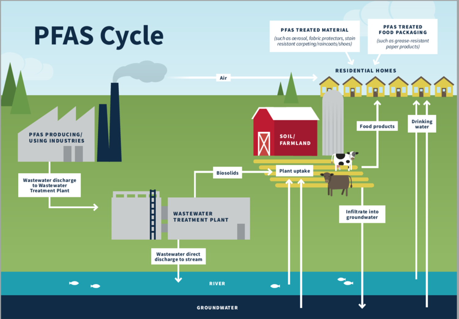 PFAS Cycle Graphic